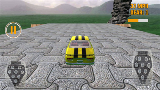 ¥ݳ