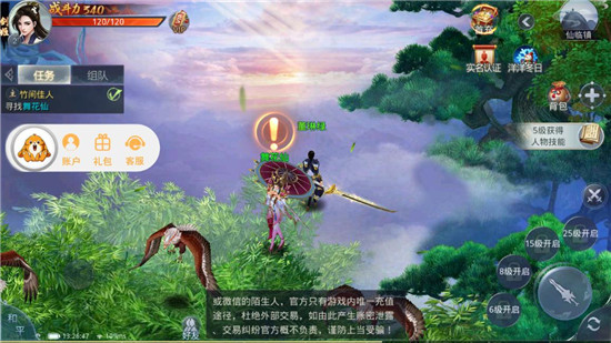 凤舞乾坤满V版